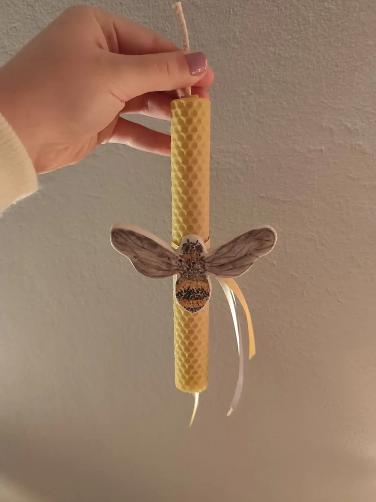 2a81e51e-c870-4664-8cf1-8108b35e1767